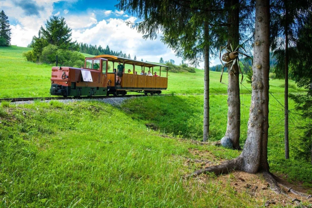 Oravská lesná železnica a Historická lesná úvraťová železnica