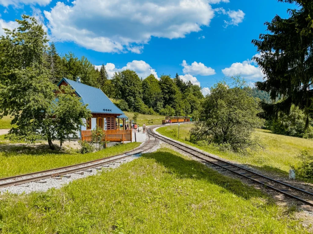 Oravská lesná železnica a Historická lesná úvraťová železnica