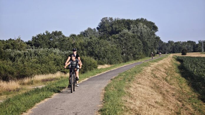 Cyklotrasa Siladice - Šúrovce. Foto: Michal Feik