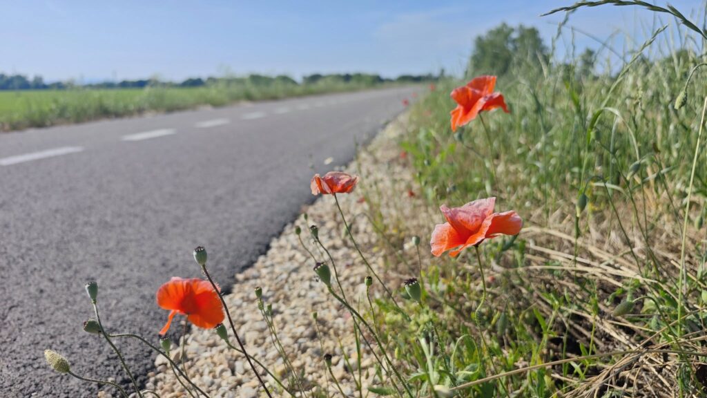 Cyklotrasa Siladice - Šúrovce. Foto: Michal Feik