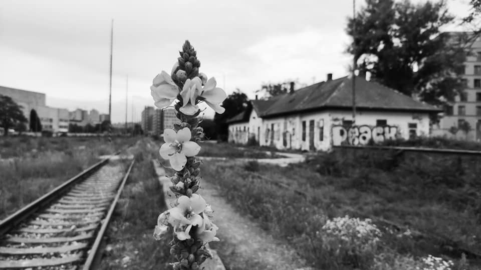 žst. Filiálka. Foto: Michal Feik