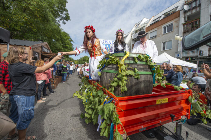 Pezinské vinobranie. Foto: Bratislavský kraj